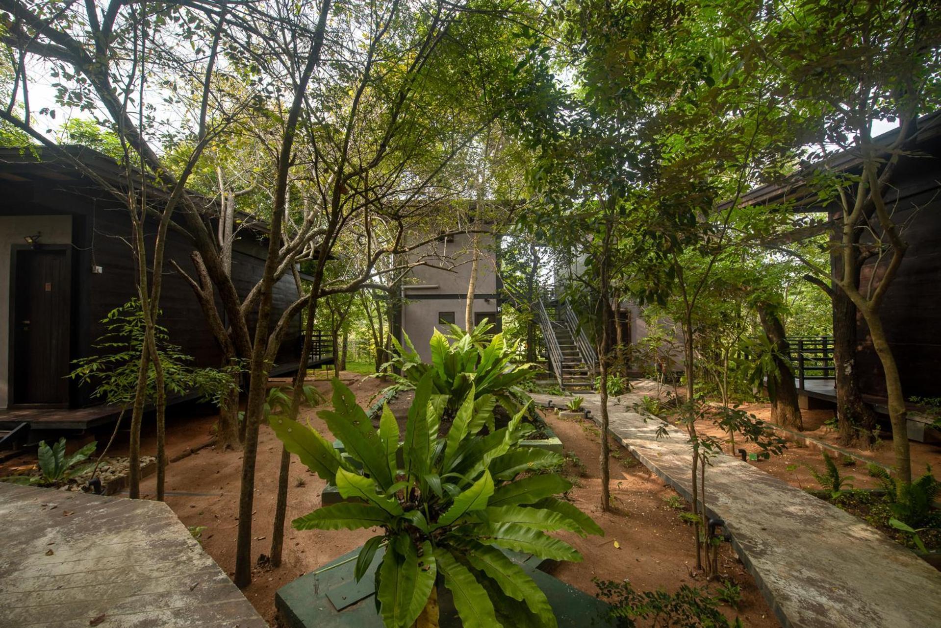 Atha Resort Sigiriya Exterior foto