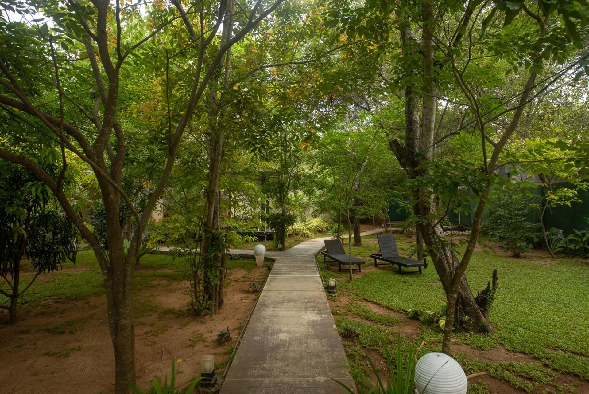 Atha Resort Sigiriya Exterior foto